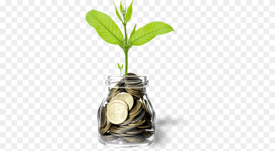 Our Strong Foundation Ahorros, Jar, Plant, Leaf, Money Png