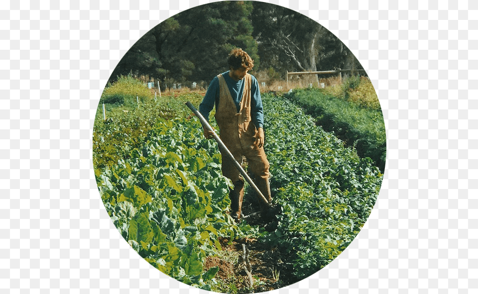 Our Team Farmer Incubator Soil, Nature, Outdoors, Person, Photography Free Transparent Png