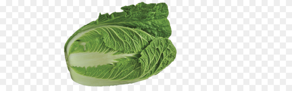 Our Vegetables, Food, Produce, Leafy Green Vegetable, Plant Free Transparent Png