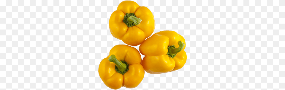Our Vegetables Red Sun Farms, Bell Pepper, Food, Pepper, Plant Free Transparent Png