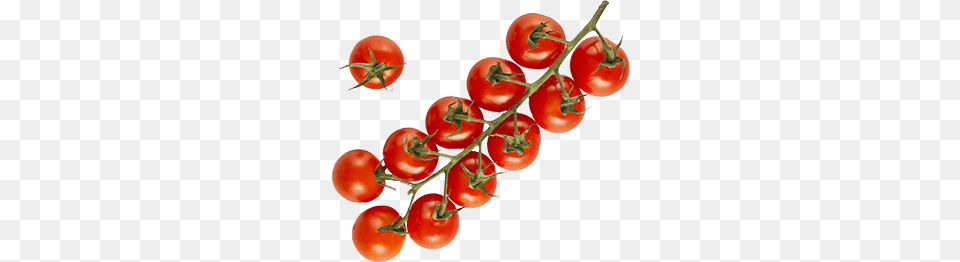 Our Vegetables Red Sun Farms, Food, Plant, Produce, Tomato Png Image