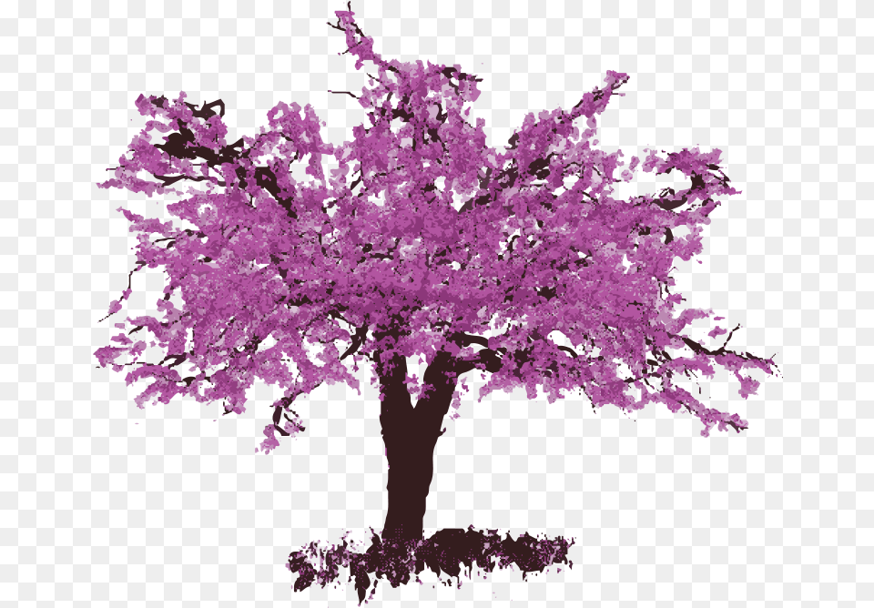 Our Wines Eastern Redbud Tree, Flower, Plant, Purple, Cherry Blossom Free Png