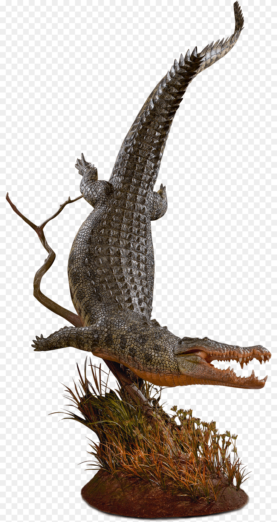 Our Work Animal Figure, Crocodile, Dinosaur, Reptile Free Png