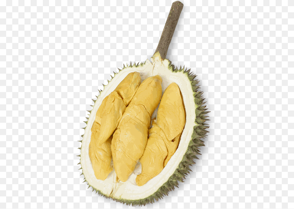 Ourdurain Osoam Farm Durian, Food, Fruit, Plant, Produce Png Image