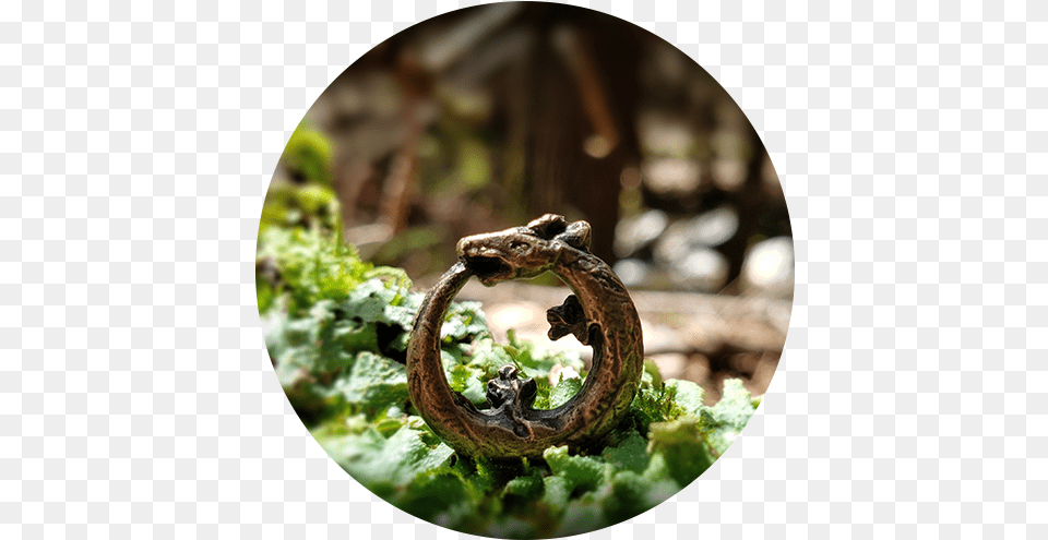 Ouroboros Geminus Parrish Relics Circle, Animal, Reptile, Snake, Leaf Free Png Download