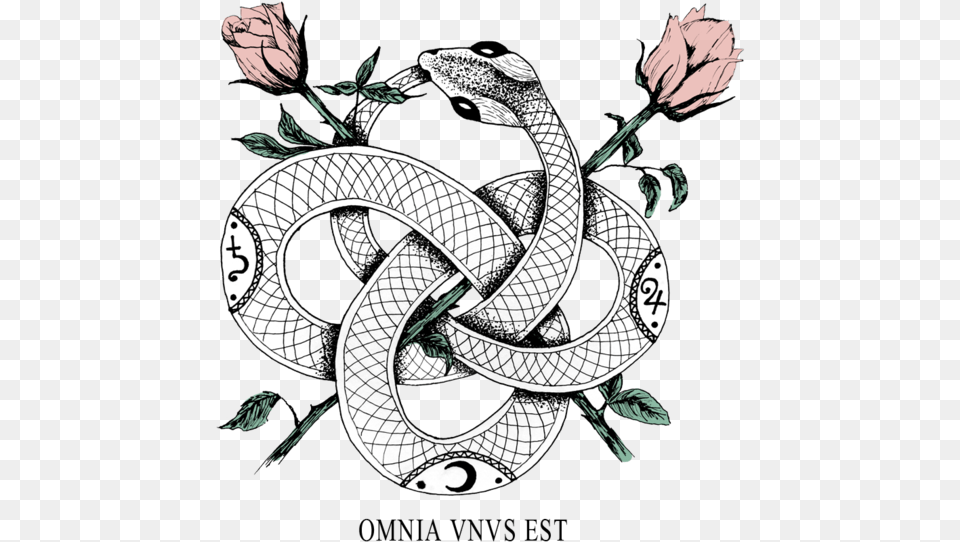 Ouroboros Never Ending Snake Tattoo, Art, Flower, Plant, Rose Png Image