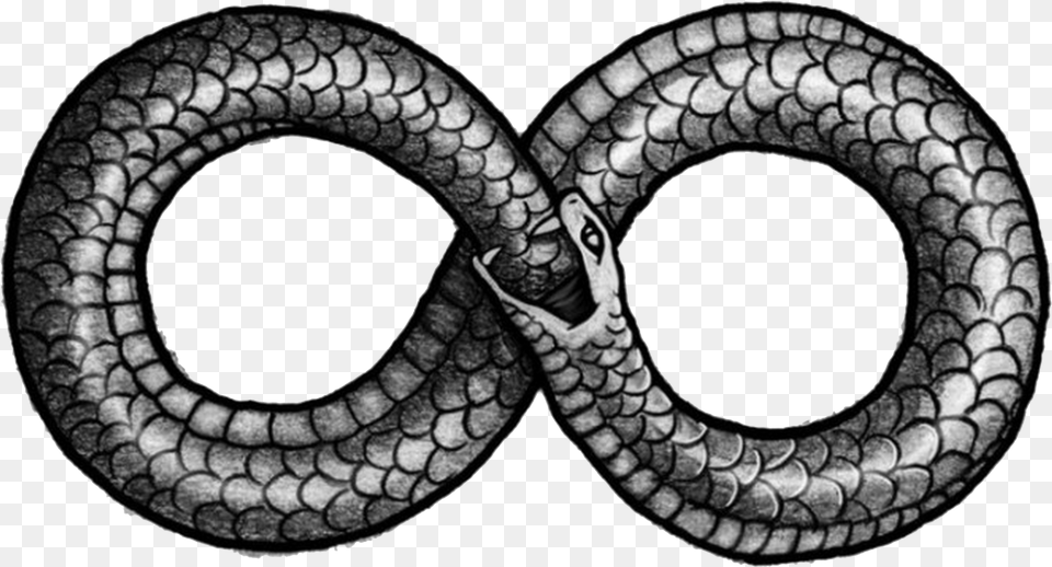 Ouroboros Picture Figure Of 8 Snake, Animal, Reptile Free Png Download