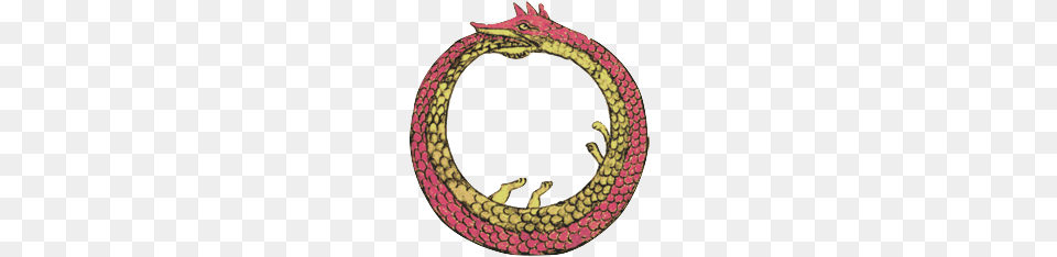 Ouroboros The Sustainable Leader, Animal, Reptile, Snake, Home Decor Png Image