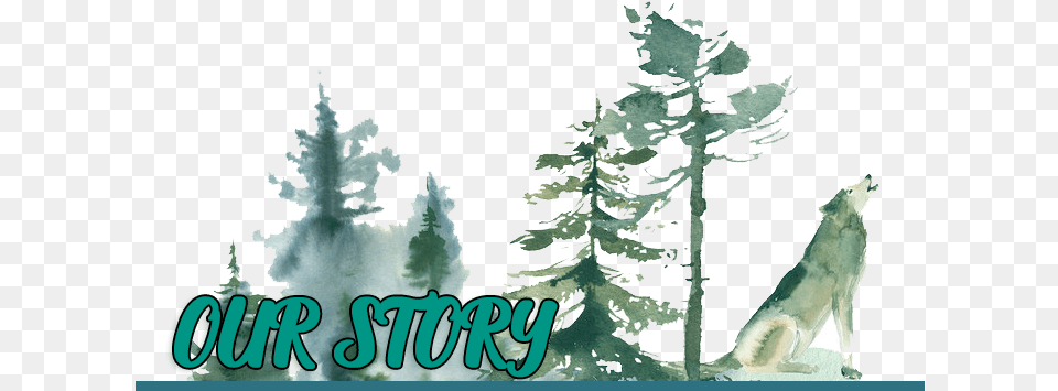 Ourstory Watercolor Wolf Forest, Plant, Tree, Adult, Bride Free Png