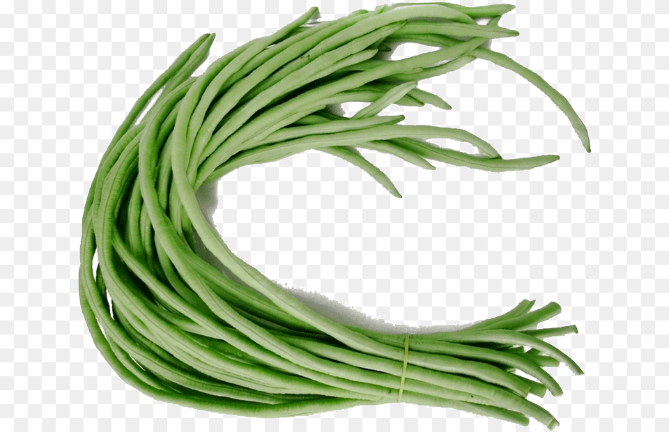 Out Of Stock Green Loosened Bean Seeds, Food, Plant, Produce, Vegetable Free Png Download