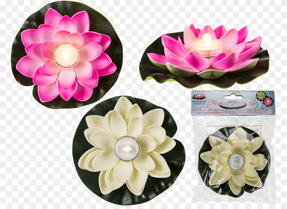 Out Of The Blue Led Madera De Esfera 1w Color Blanco Flor De Loto Plastico, Accessories, Dahlia, Flower, Plant Png