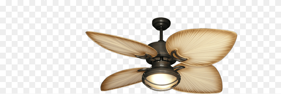 Outdoor Ceiling Fans Tropical, Appliance, Ceiling Fan, Device, Electrical Device Png Image