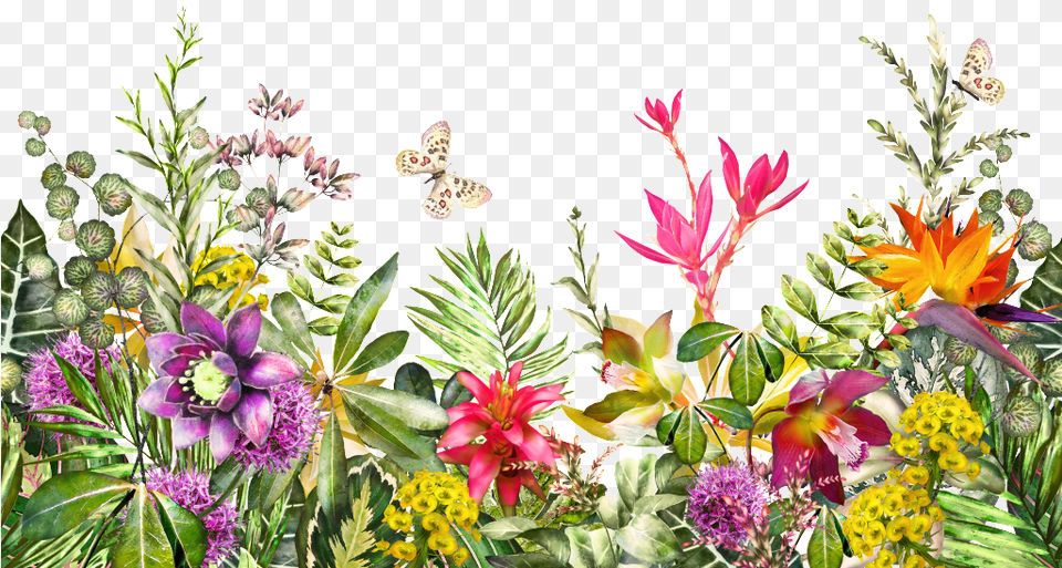 Outdoor Hermosas Flores Y Hierba Transparente Floral Tapestry, Flower, Plant, Purple, Animal Png