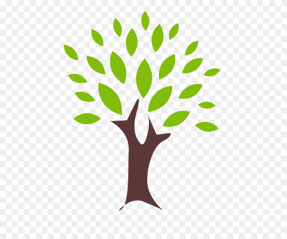 Outdoor Learning Clipart Clipart, Green, Leaf, Plant, Tree Png