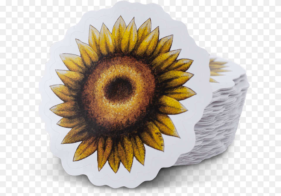 Outdoor Stickers Sunflower, Flower, Plant, Art Png Image