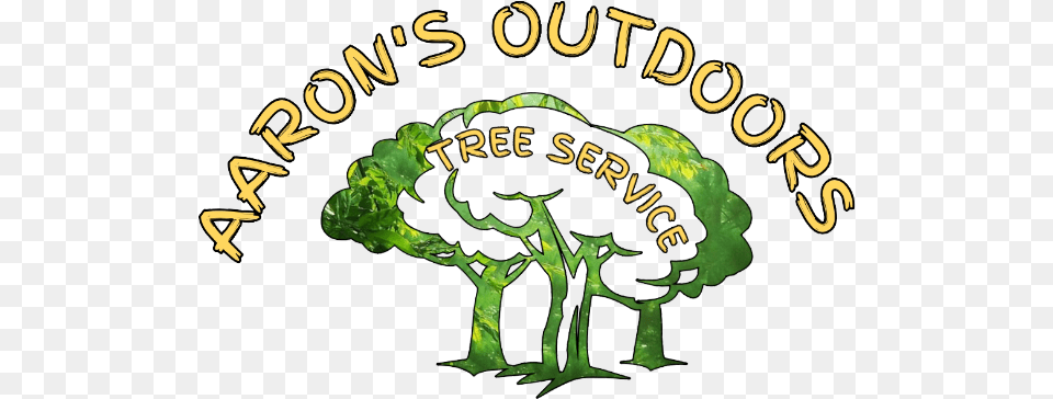 Outdoors Tree Service Clip Art, Broccoli, Food, Plant, Produce Png Image