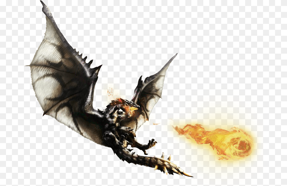 Outi Harvey Blm Stop Asian Hate Silver Rathalos Render, Dragon, Animal, Bird Free Png Download