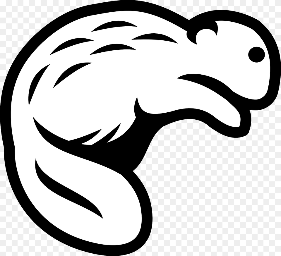 Outline Beaver Clipart, Stencil, Animal, Fish, Sea Life Png Image