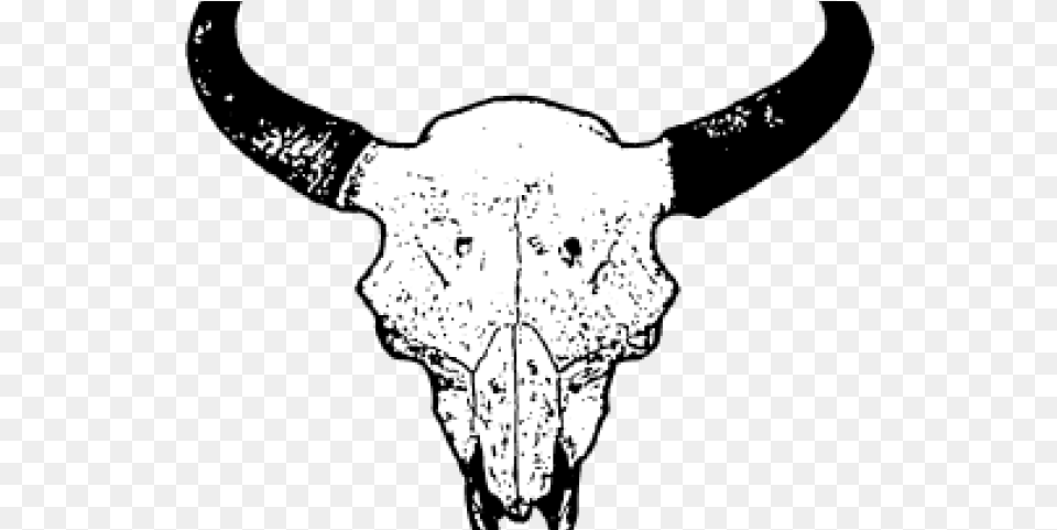 Outline Bull Skull, Ct Scan, Adult, Wedding, Person Free Png Download