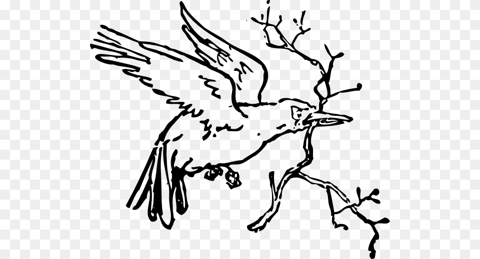 Outline Carrying A Branch Clip Art Pajaro Con Ramita Para Colorear, Stencil, Person, Drawing Free Png