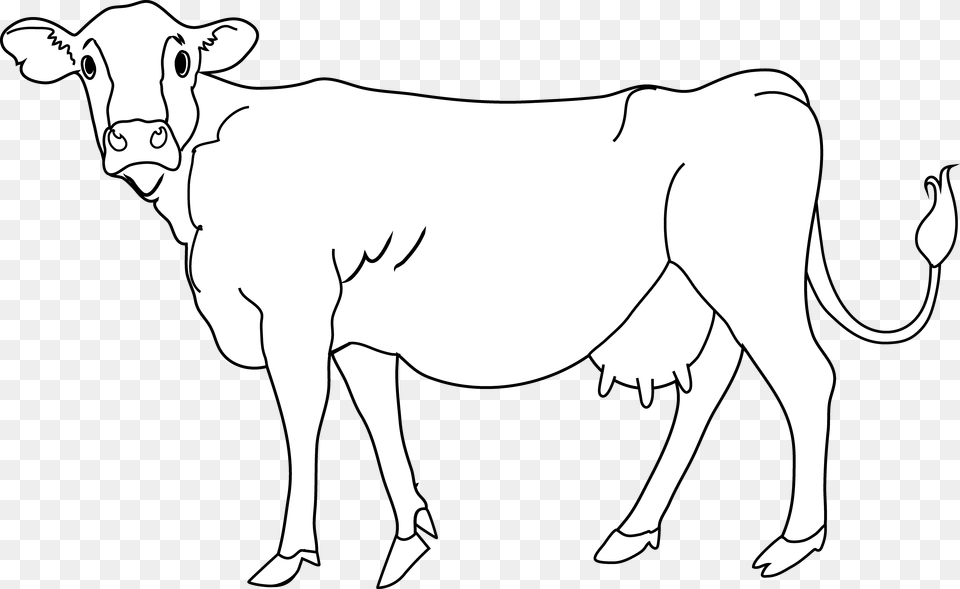 Outline Cow Clipart Black And White Cow Coloring, Animal, Mammal, Cattle, Livestock Free Png Download