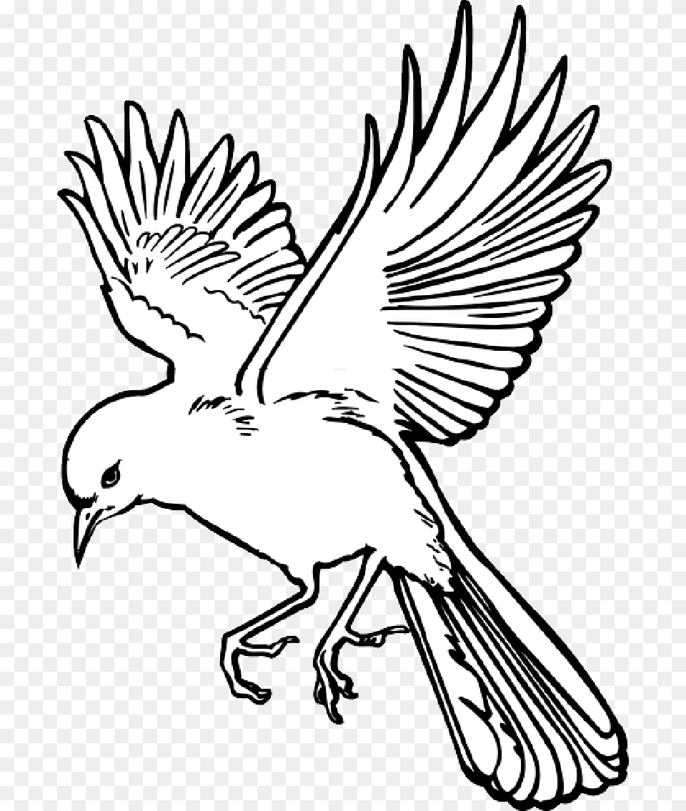 Outline Drawing Bird Wings Art, Stencil, Baby, Person, Animal Png Image