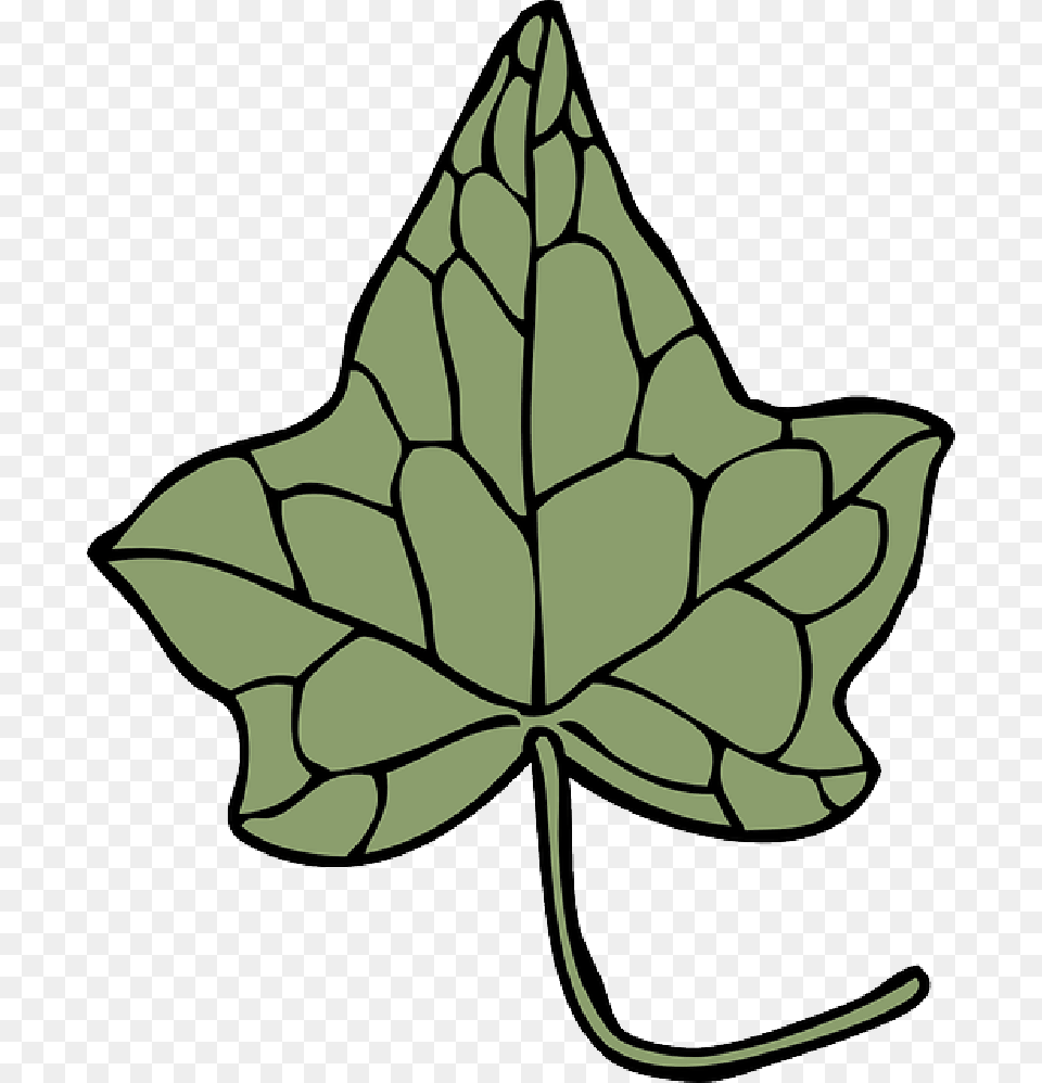 Outline Drawing Leaf Cartoon Template Plant Ivy Leaf Clip Art, Maple Leaf, Animal, Fish, Sea Life Free Png
