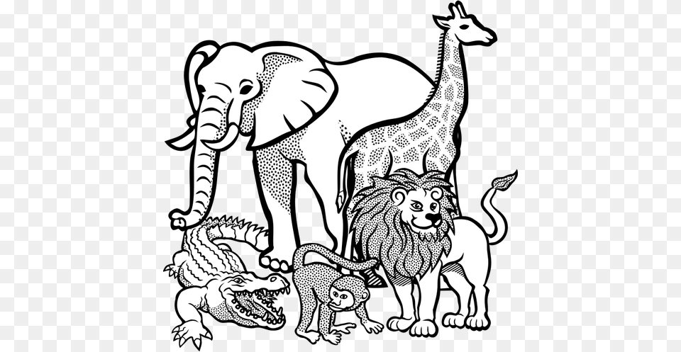 Outline Drawing Of African Animals, Animal, Lion, Mammal, Wildlife Png Image