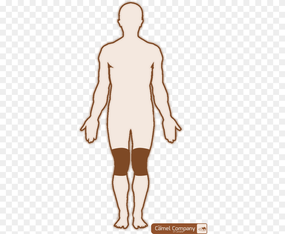 Outline Drawing Of Human Body Download Male Body Outline Template, Adult, Man, Person, Back Png