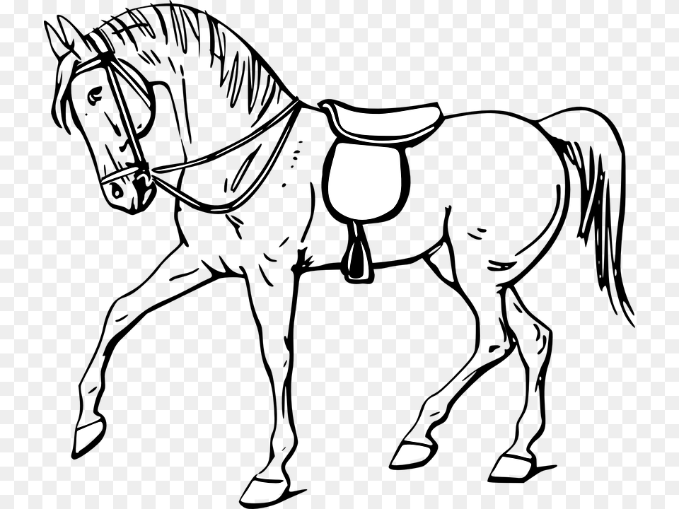 Outline Images Of Horse, People, Person, Clothing, Hat Free Transparent Png
