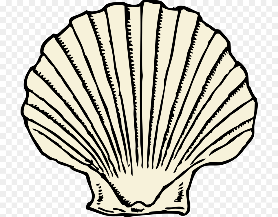 Outline No Color Shell Clip Art, Animal, Clam, Food, Invertebrate Free Png