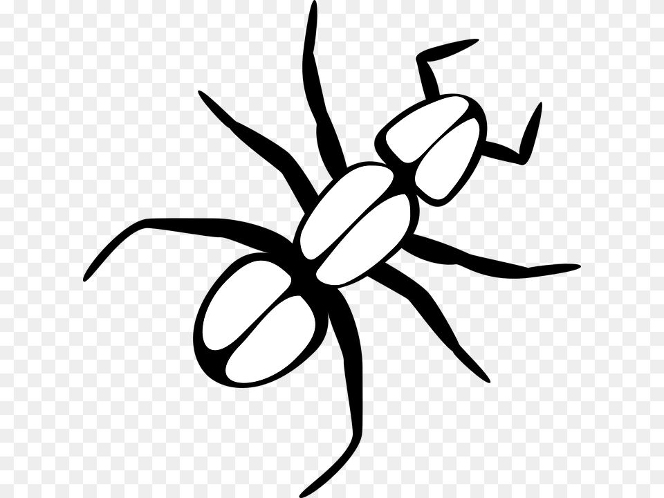 Outline Of An Ant, Lighting, Stencil, Astronomy, Moon Free Png Download