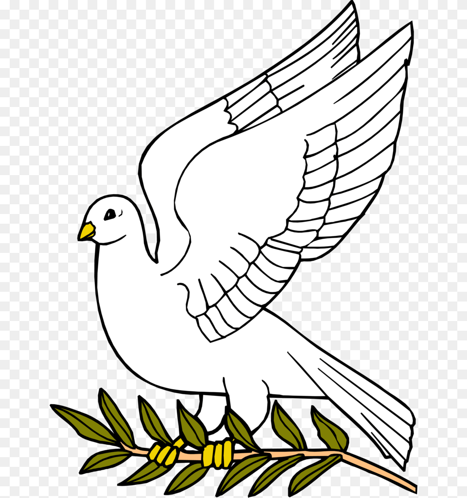 Outline Of Download Clip Art On Dove Dove With Olive Leaf, Animal, Bird, Pigeon Free Png