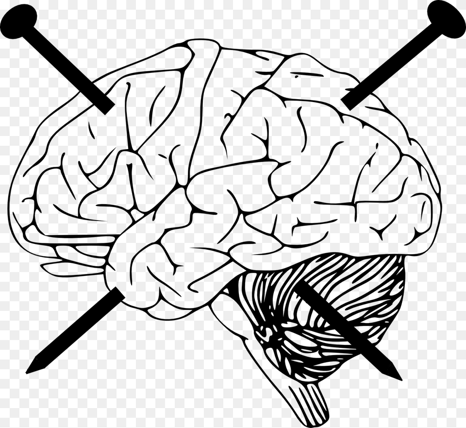Outline Of Human Brain, Gray Free Transparent Png