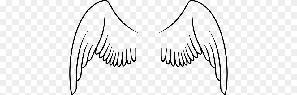 Outline Of Wings, Animal, Beak, Bird, Angel Free Png Download