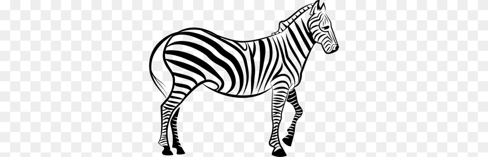 Outline Of Zebra, Gray Free Png Download