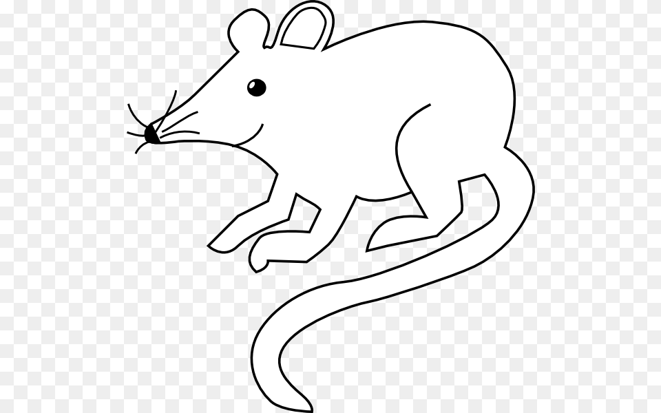 Outline Outlines Mice, Animal, Mammal, Wildlife, Fish Free Png Download