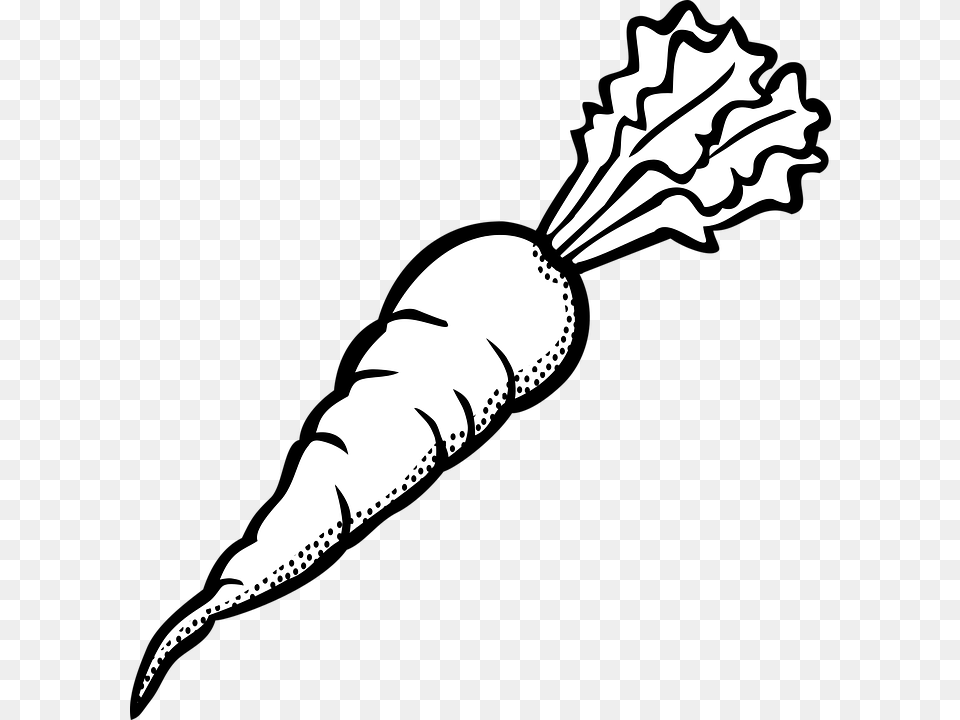 Outline Picture Of Carrot, Food, Plant, Produce, Vegetable Png Image