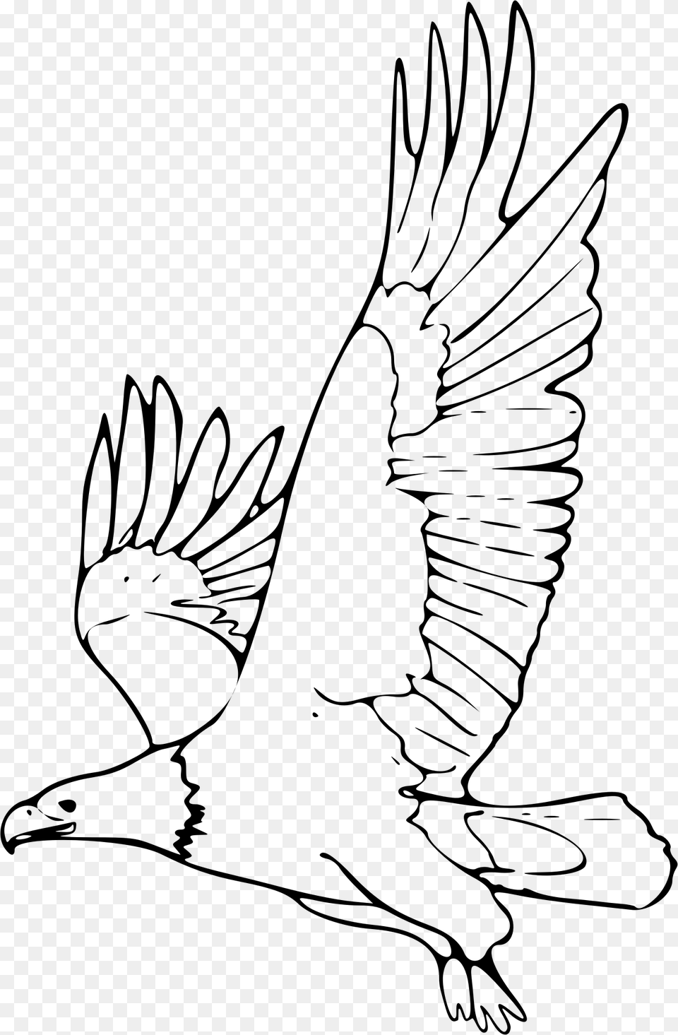 Outline Picture Of Eagle, Gray Free Png Download
