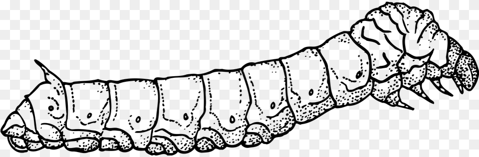 Outline Picture Of Silkworm, Gray Free Png Download