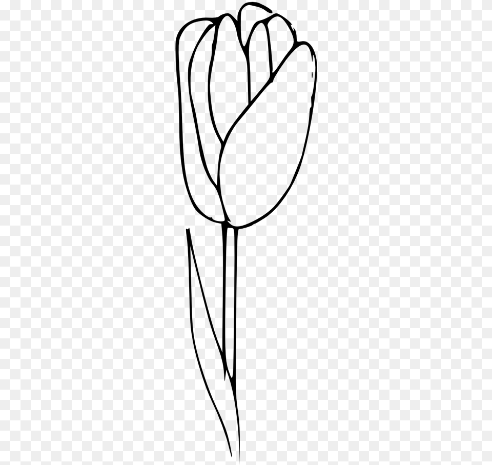 Outline Tulip Coloring Flower Tulip Outline, Gray Free Transparent Png