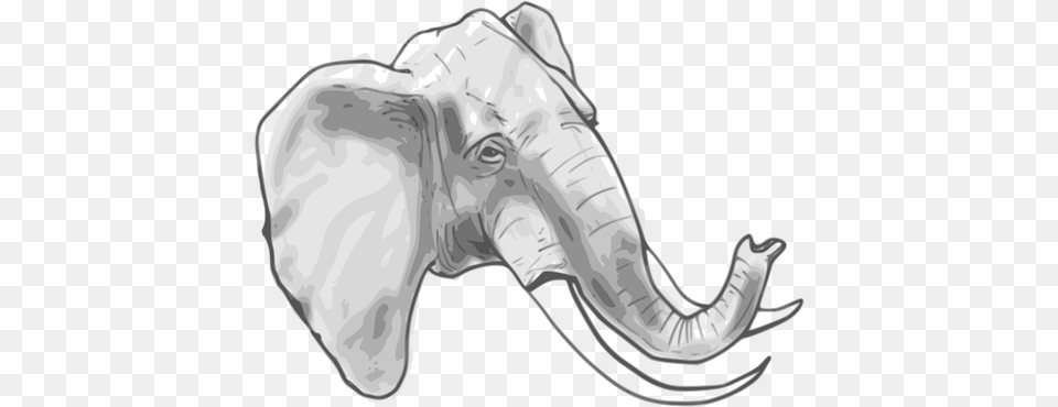 Outline Vector Graphics Of Elephant Elephant Head Coloring Page, Animal, Mammal, Wildlife, Art Free Png