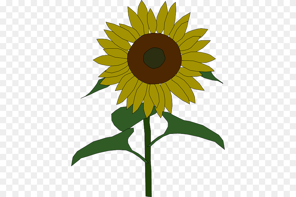 Outline Yellow Drawing Plants Sun Flower Flowers Clip Art Sunflower, Plant Png