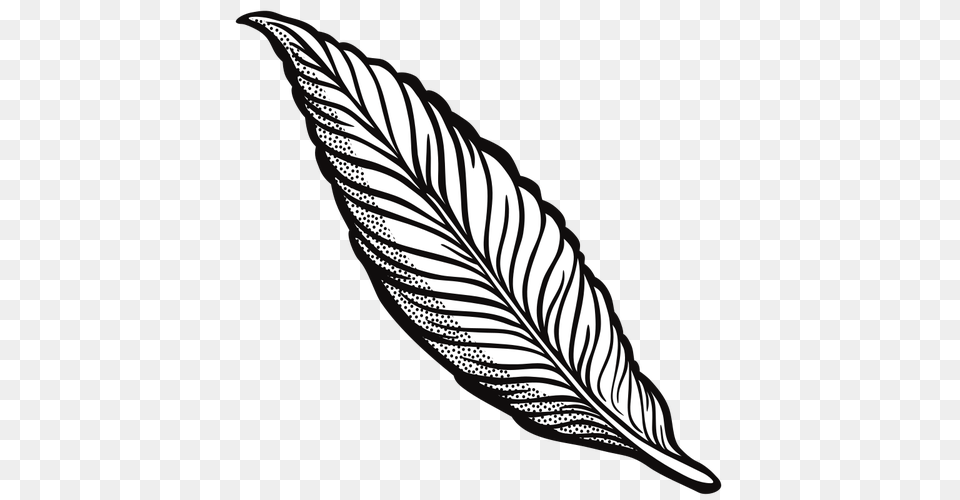 Outlined Feather, Leaf, Plant Png