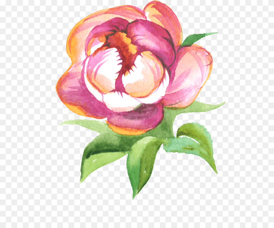 Outward Appearance Watercolor Painting, Art, Floral Design, Pattern, Graphics Free Png
