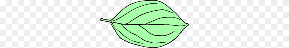Oval Clipart, Leaf, Plant, Clothing, Hardhat Png Image