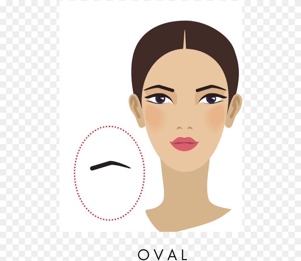 Oval Eyebrow Shape Illustration, Adult, Person, Neck, Head Free Png