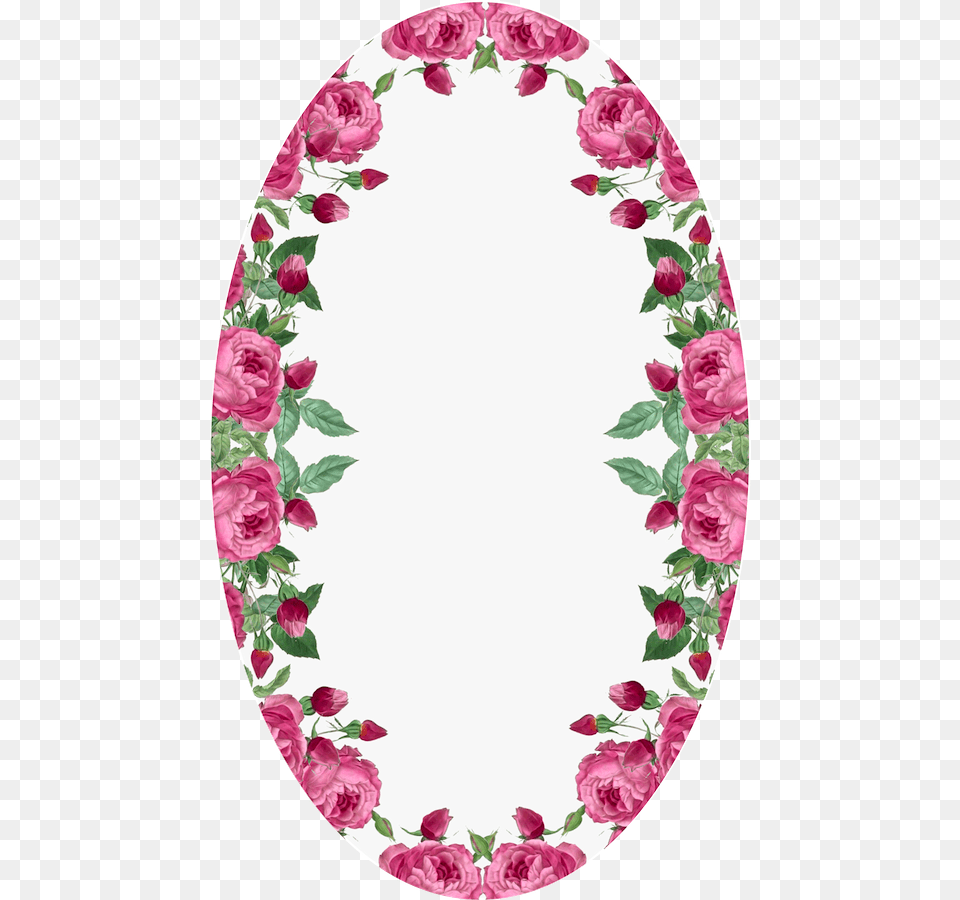 Oval Flower Border Transparent, Plant, Rose, Pattern Png Image
