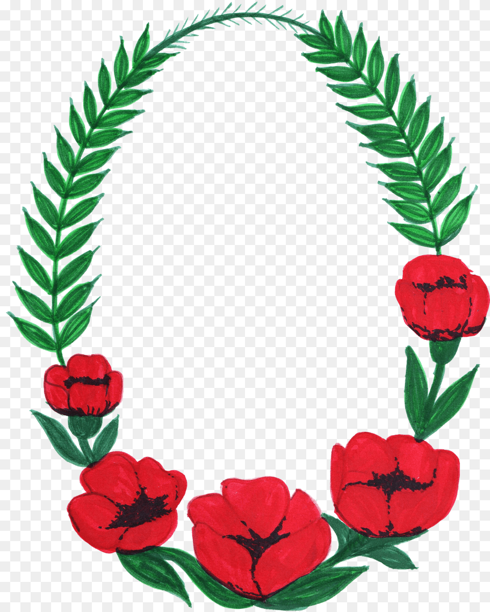 Oval Flower Frame Transparent Flower Photo Frame In, Petal, Plant, Rose, Leaf Free Png Download