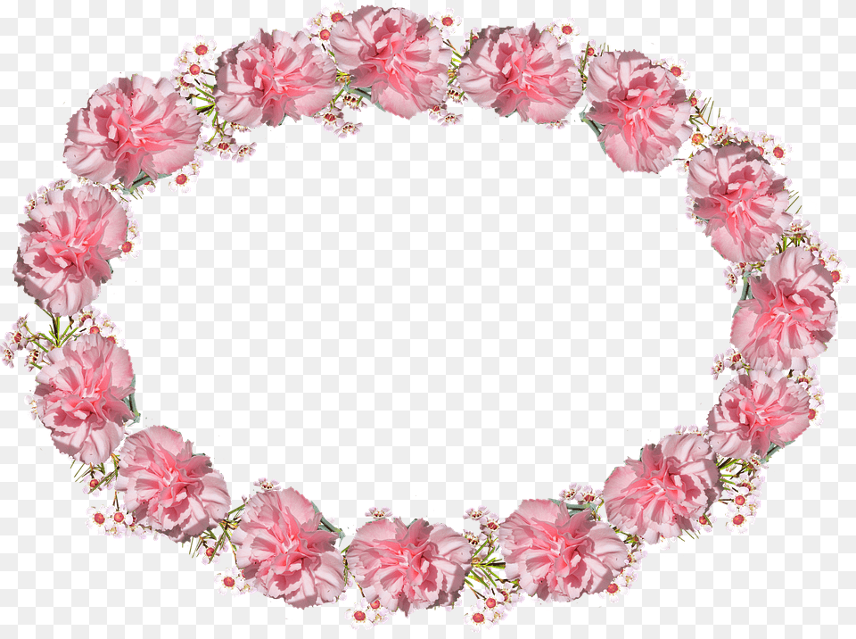 Oval Frame Pink Carnation Card Border Flower, Accessories, Flower Arrangement, Plant, Rose Png Image